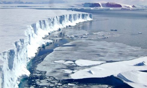 Larsen C