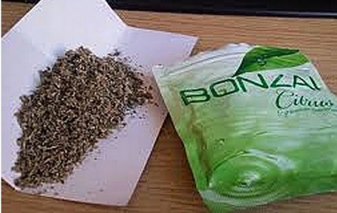 BONZAI