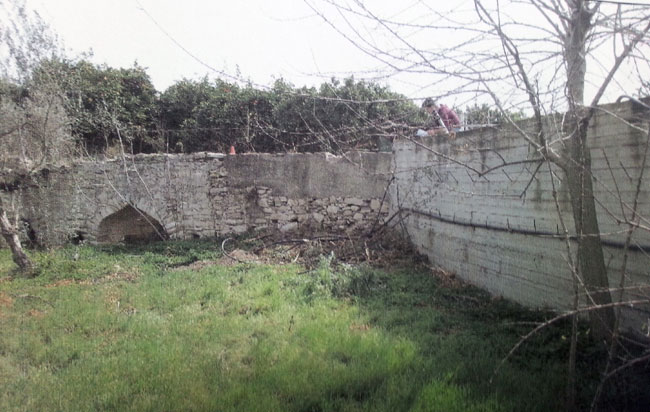 ΔΑΛΙ