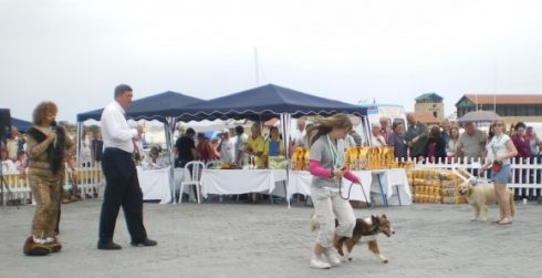 Hot Dog Show Pafos